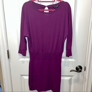 Women’s SZ S EXPRESS Plum Stretch Banded waist Mini Dress